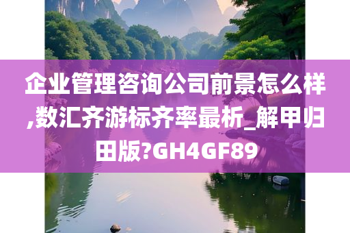 企业管理咨询公司前景怎么样,数汇齐游标齐率最析_解甲归田版?GH4GF89