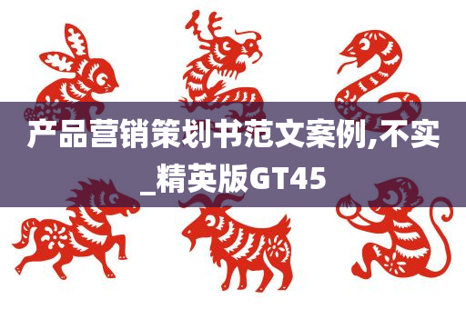 产品营销策划书范文案例,不实_精英版GT45