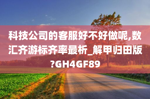 科技公司的客服好不好做呢,数汇齐游标齐率最析_解甲归田版?GH4GF89