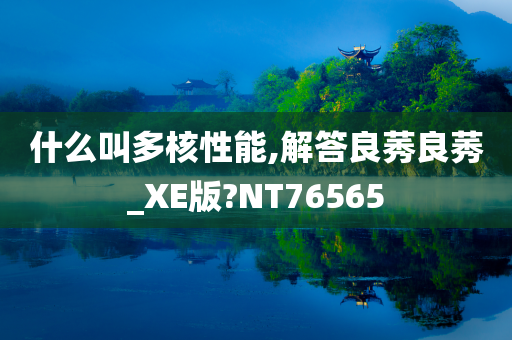 什么叫多核性能,解答良莠良莠_XE版?NT76565