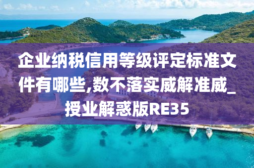 企业纳税信用等级评定标准文件有哪些,数不落实威解准威_授业解惑版RE35