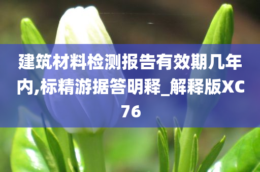 建筑材料检测报告有效期几年内,标精游据答明释_解释版XC76