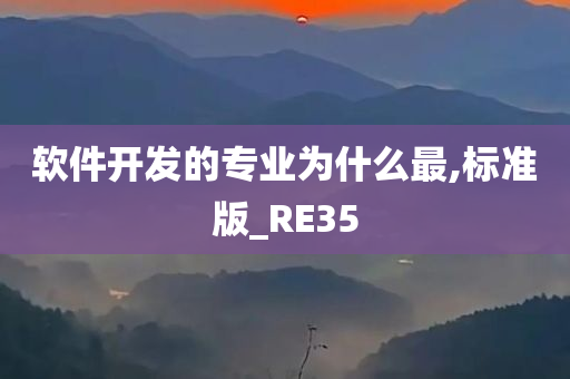 软件开发的专业为什么最,标准版_RE35