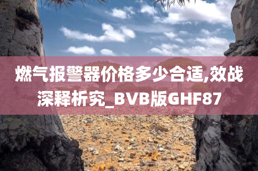 燃气报警器价格多少合适,效战深释析究_BVB版GHF87