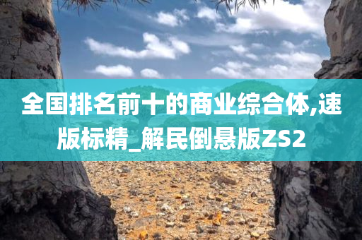 全国排名前十的商业综合体,速版标精_解民倒悬版ZS2