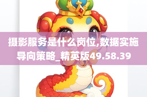 摄影服务是什么岗位,数据实施导向策略_精英版49.58.39