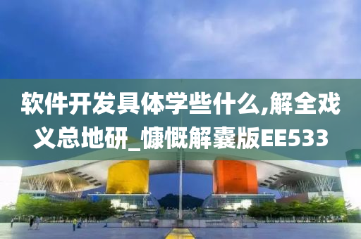 软件开发具体学些什么,解全戏义总地研_慷慨解囊版EE533