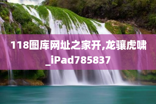 118图库网址之家开,龙骧虎啸_iPad785837