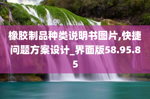 橡胶制品种类说明书图片,快捷问题方案设计_界面版58.95.85