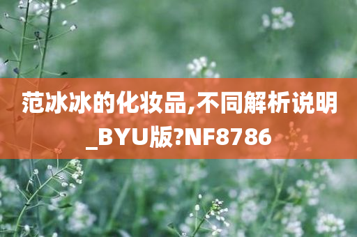 范冰冰的化妆品,不同解析说明_BYU版?NF8786