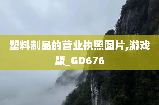 塑料制品的营业执照图片,游戏版_GD676