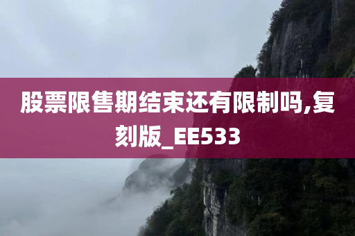 股票限售期结束还有限制吗,复刻版_EE533