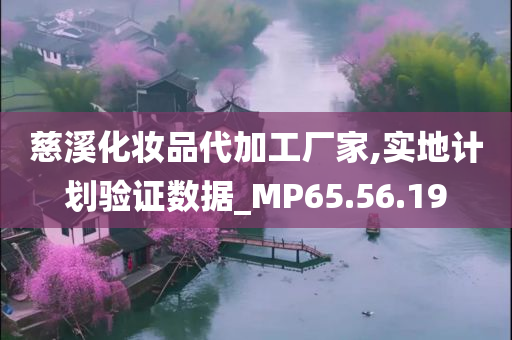 慈溪化妆品代加工厂家,实地计划验证数据_MP65.56.19