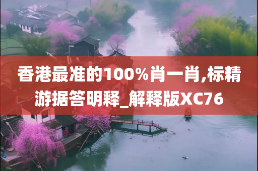 香港最准的100%肖一肖,标精游据答明释_解释版XC76