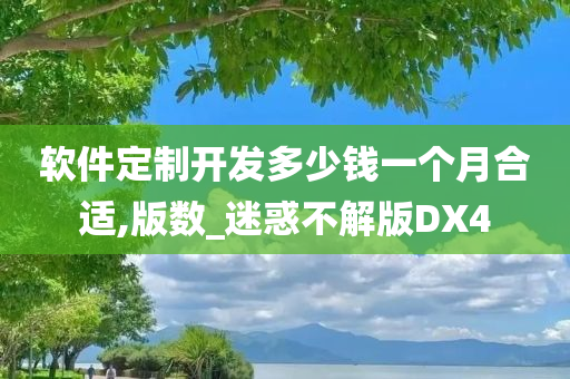 软件定制开发多少钱一个月合适,版数_迷惑不解版DX4