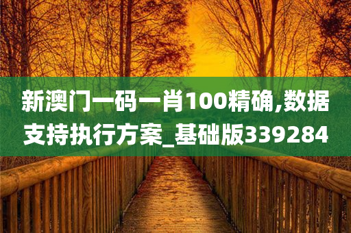 新澳门一码一肖100精确,数据支持执行方案_基础版339284