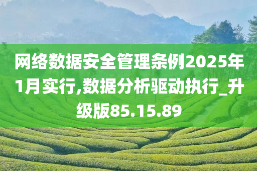 网络数据安全管理条例2025年1月实行,数据分析驱动执行_升级版85.15.89