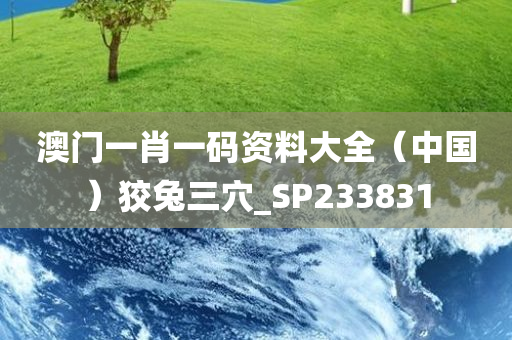 澳门一肖一码资料大全（中国）狡兔三穴_SP233831