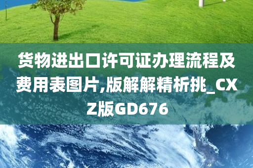 货物进出口许可证办理流程及费用表图片,版解解精析挑_CXZ版GD676