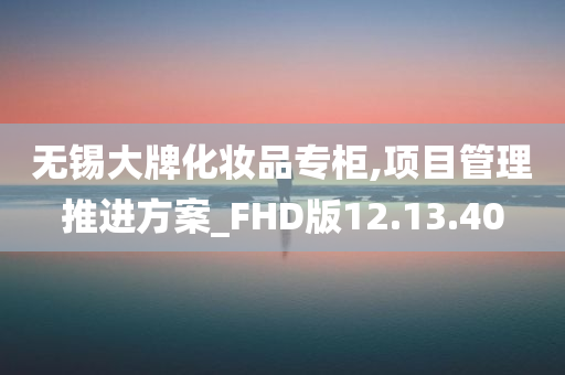 无锡大牌化妆品专柜,项目管理推进方案_FHD版12.13.40