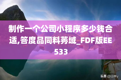 制作一个公司小程序多少钱合适,答度品同料莠域_FDF版EE533