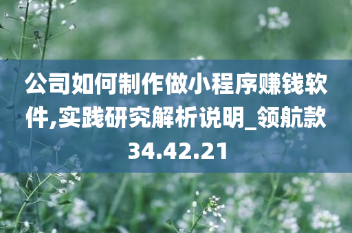 公司如何制作做小程序赚钱软件,实践研究解析说明_领航款34.42.21