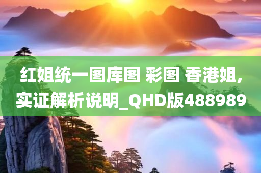 红姐统一图库图 彩图 香港姐,实证解析说明_QHD版488989