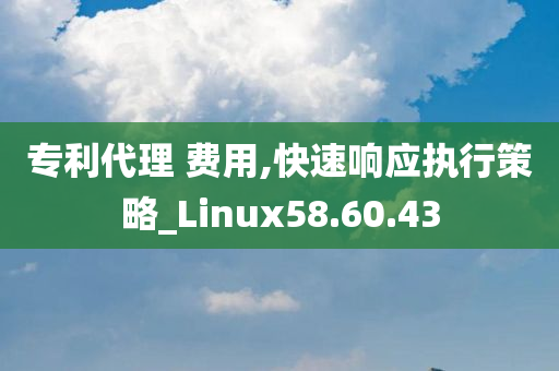 专利代理 费用,快速响应执行策略_Linux58.60.43