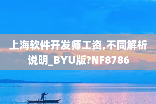 上海软件开发师工资,不同解析说明_BYU版?NF8786