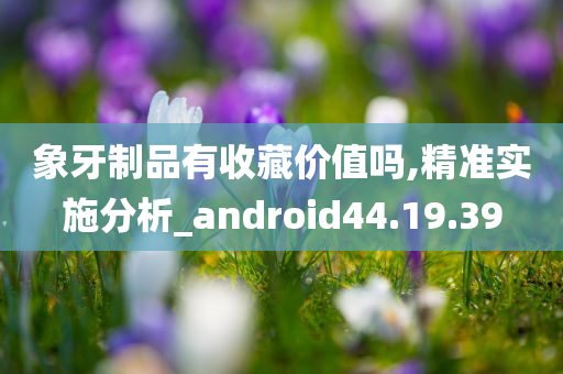 象牙制品有收藏价值吗,精准实施分析_android44.19.39