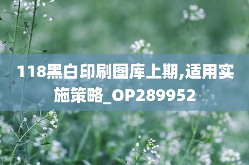 118黑白印刷图库上期,适用实施策略_OP289952