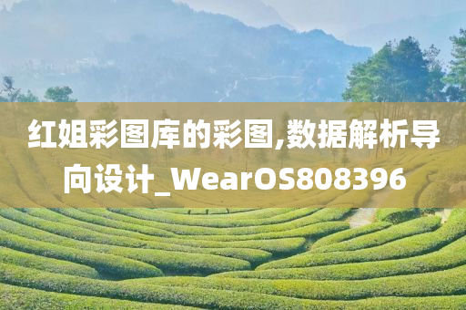 红姐彩图库的彩图,数据解析导向设计_WearOS808396