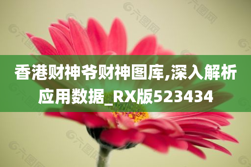 香港财神爷财神图库,深入解析应用数据_RX版523434