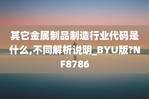 其它金属制品制造行业代码是什么,不同解析说明_BYU版?NF8786