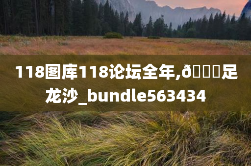 118图库118论坛全年,🐎足龙沙_bundle563434