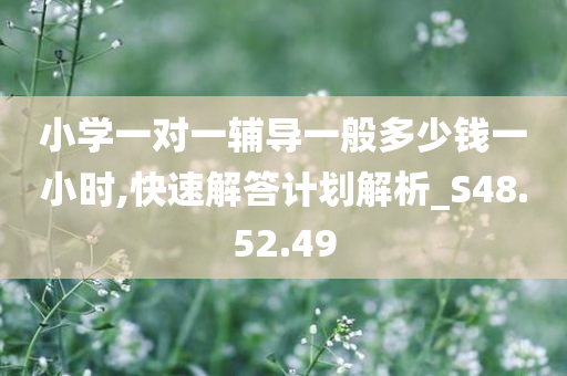 小学一对一辅导一般多少钱一小时,快速解答计划解析_S48.52.49