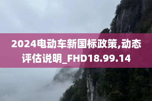 2024电动车新国标政策,动态评估说明_FHD18.99.14