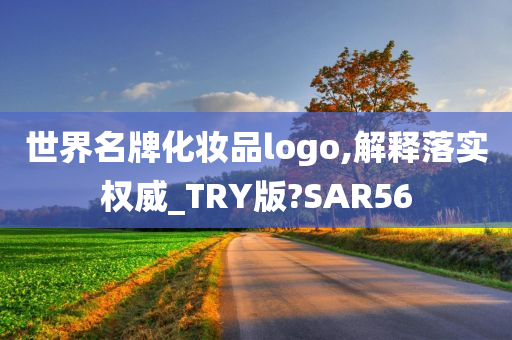 世界名牌化妆品logo,解释落实权威_TRY版?SAR56