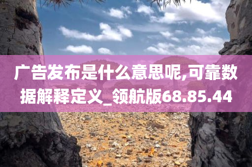 广告发布是什么意思呢,可靠数据解释定义_领航版68.85.44