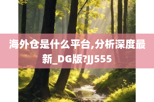 海外仓是什么平台,分析深度最新_DG版?JJ555