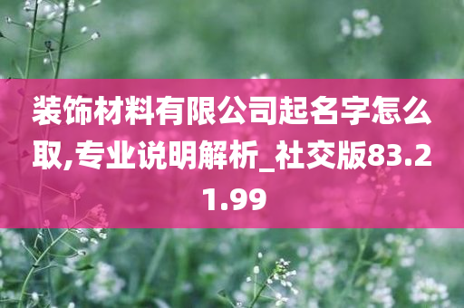 装饰材料有限公司起名字怎么取,专业说明解析_社交版83.21.99