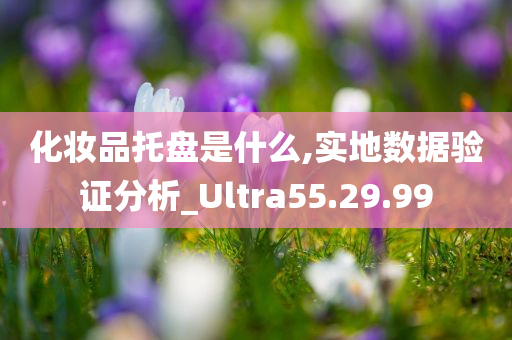 化妆品托盘是什么,实地数据验证分析_Ultra55.29.99