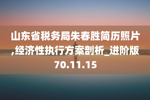 山东省税务局朱春胜简历照片,经济性执行方案剖析_进阶版70.11.15