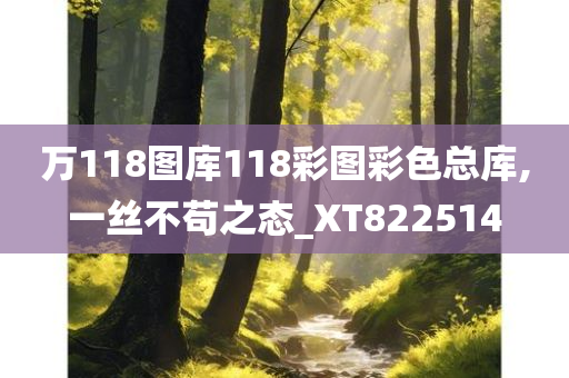 万118图库118彩图彩色总库,一丝不苟之态_XT822514