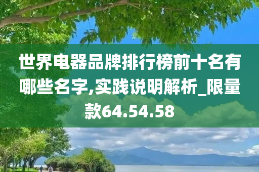 世界电器品牌排行榜前十名有哪些名字,实践说明解析_限量款64.54.58