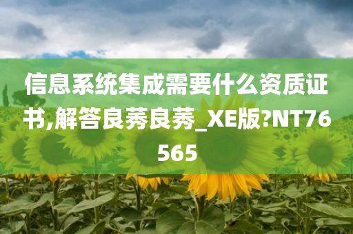 信息系统集成需要什么资质证书,解答良莠良莠_XE版?NT76565