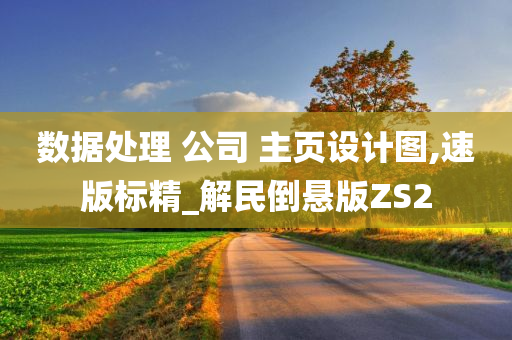 数据处理 公司 主页设计图,速版标精_解民倒悬版ZS2