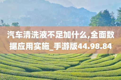 汽车清洗液不足加什么,全面数据应用实施_手游版44.98.84