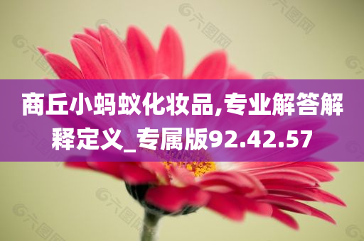 商丘小蚂蚁化妆品,专业解答解释定义_专属版92.42.57