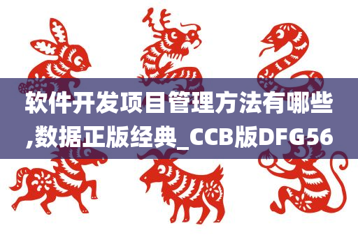 软件开发项目管理方法有哪些,数据正版经典_CCB版DFG56